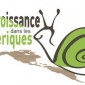 degrowth