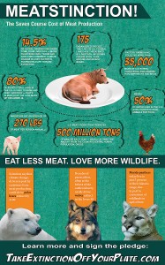 "Meatstinction" - CBD's infographic on the costs of eating meat