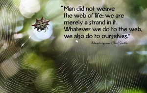 web-of-life-fb