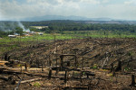 Deforestation in Indonesia [photo: un.org]