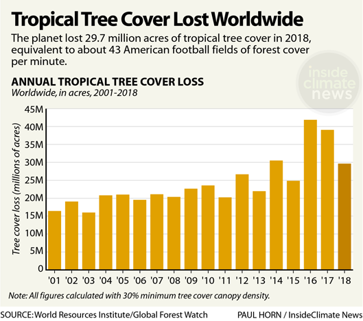 World-Tree Loss-Annual-529px
