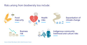 biodiversity risks