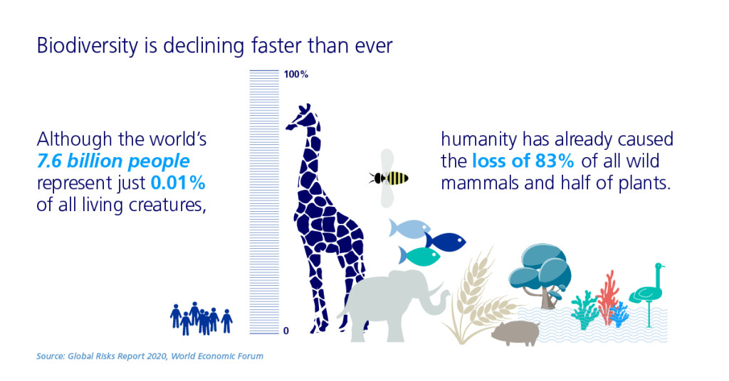 grr-2020-infographic-biodiversity-declining-population-growth-human