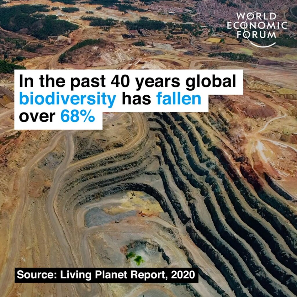 The Dramatic Decline Of Earth’s Biodiversity - Population Growth ...