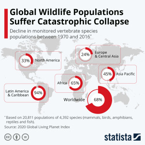 WWF report