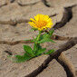 Photo by Klimkin/Creative Commons
