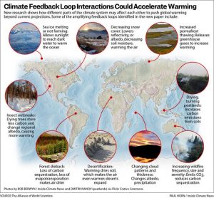 climate feedback loops
