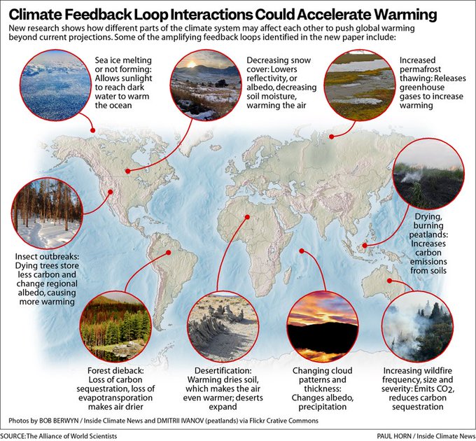 climate feedback loops