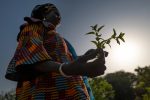 [20231116_UNEP_Decade on Ecosystem Restoration_Forest Gardens_Senegal_Todd Brown_1]