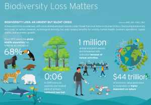 biodiversity loss matters